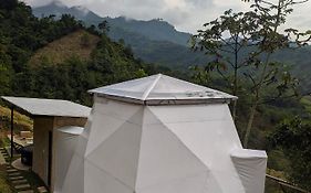Criss Glamping